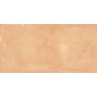 Rondine Terrae Vignanello Strong R11 20,3X40,6