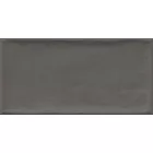 VIVES Etnia Antracita 10x20