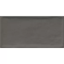 VIVES Etnia Antracita 10x20