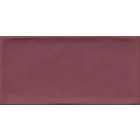 VIVES Etnia Marsala 10x20